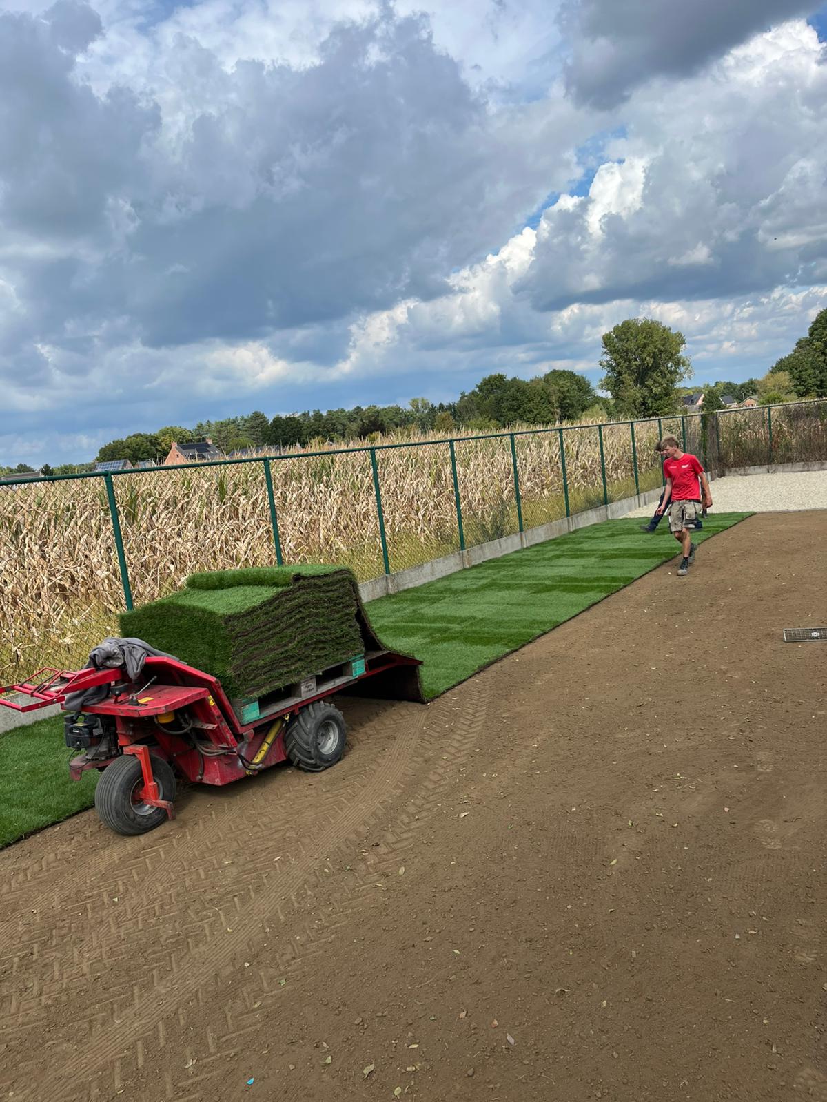 Detail van de uitrolmachine die stroken rolgazon op de voorbereide ondergrond legt